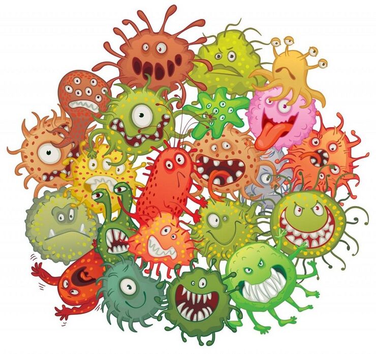 microbios humanos e vermes como eliminar