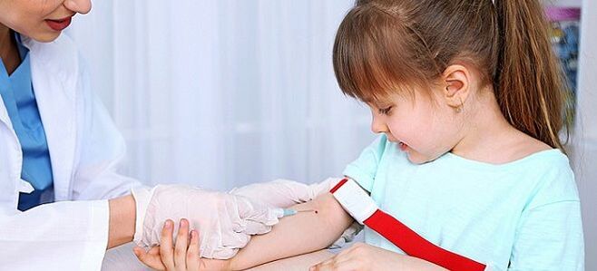 toma de mostras de sangue para a análise de vermes nun neno