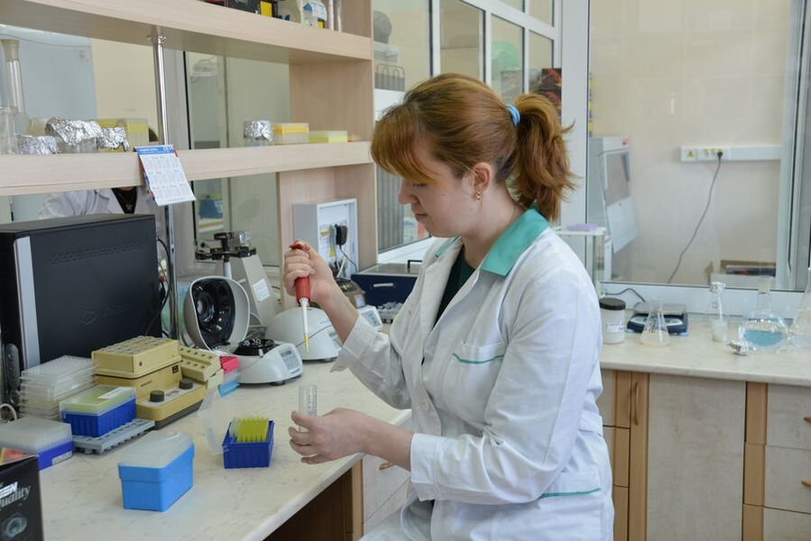 Resultados da investigación