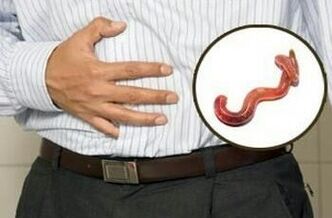 o impacto dos parasitos no corpo humano